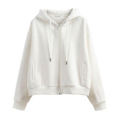 Sweat à capuche zippé classique