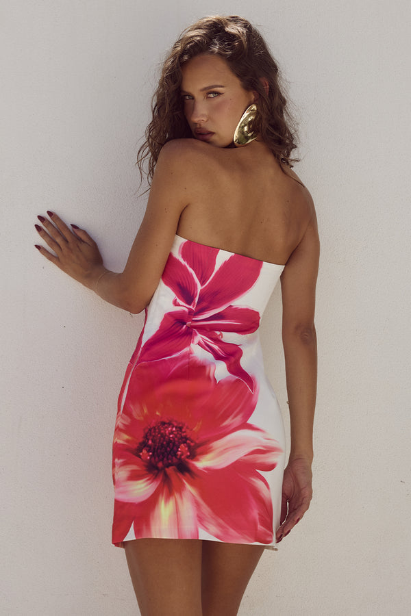 ROBE MINI PRIMROSE - LILAS ROUGE