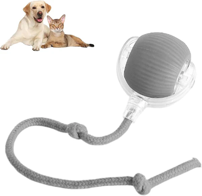 RolliePet Ball