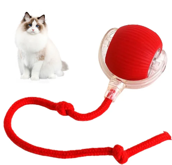 RolliePet Ball