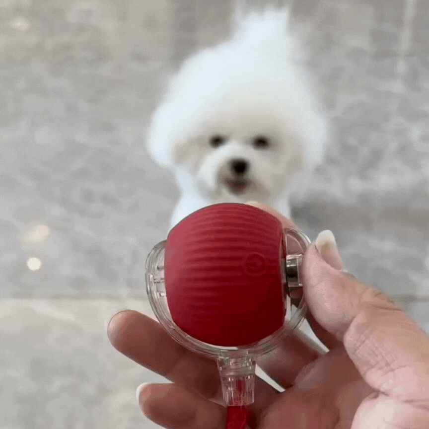 RolliePet Ball