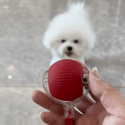RolliePet Ball